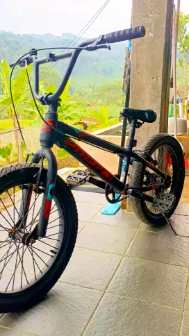 Pasific BMX Hotshot XCR 8.0