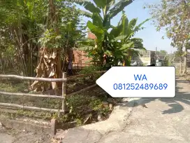 Dijual Tanah Pekarangan Harga bisa Nego lokasi di Tasikmadu