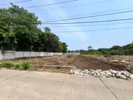 Tanah Kavling Murah Cisauk Luas 80-an