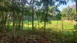 Bangunjiwo, Tanah Kasihan Bantul, Dekat Ringroad Barat