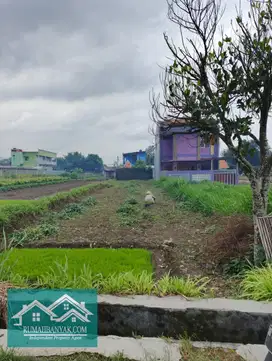 Jual Tanah Murah Purwomartani; Lingkungan Tenang & Nyaman, Persawahan