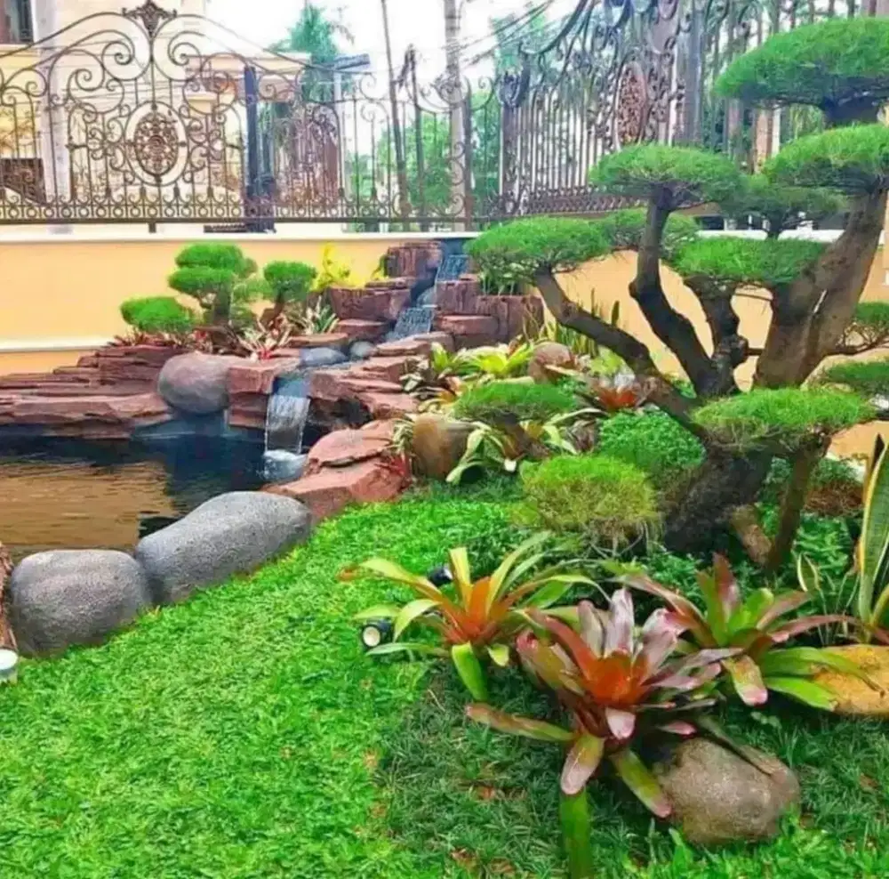 Jual rumput untuk taman