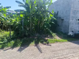 Tanah luas 395 M² SHM kertosari Banyuwangi kota