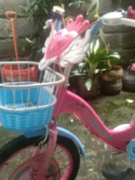 Sepeda anak cewek merk centrum