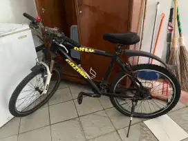 Sepeda Gunung Polygon Cosmic DX 10