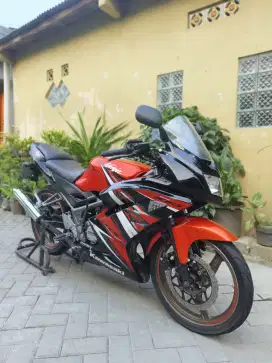 Ninia rr new 2015
