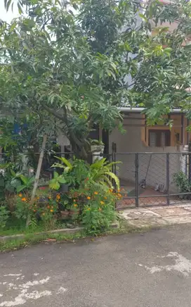 Rumah 1 Lantai di Griya Loka BSD, Hanya 9 Menit ke Tol Serpong