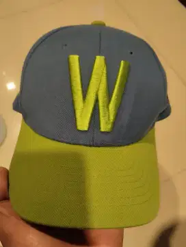 TOPI LOGO W mlb