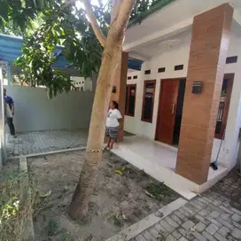 Dijual Cepat Rumah Dengan Halaman Luas