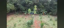 Jual Tanah Di Mekarwangi, Cisauk, Tangerang - Banten.