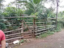 Tanah Kosong Zona Kuning 100 meter dari Jalan Grafika Raya Banyumanik