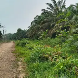 just Tanah strategis utk Bangunan komersil