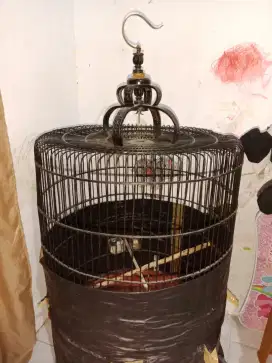 Sangkar burung,