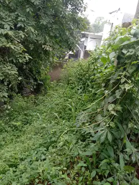 Dijual tanah di cigadung rancakendal bandung