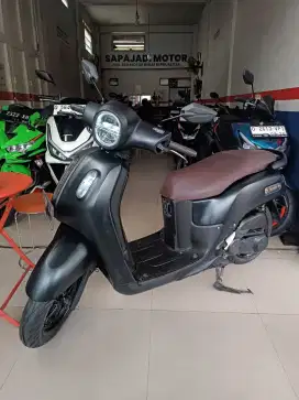 FAZZIO LUX 2022