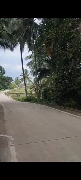 KAVLING DI BANTEN PANDEGLANG