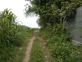 DIJUAL TANAH MILIK PRIBADI - MOJOKERTO - SHM
