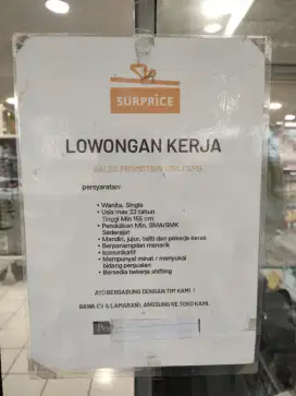 LOWONGAN PEKERJAAN SURPRISE