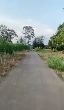 TANAH DIJUAL CEPAT MURAH LOKASI STRATEGIS DI PESAWARAN LAMPUNG