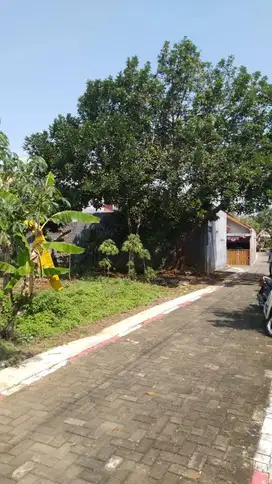 Tanah Banyumanik Pudak Payung 15 menit Ke Undip Tembalang