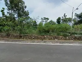 Dijual tanah 4300m karangpandan dekat pasar dan terminal wisata