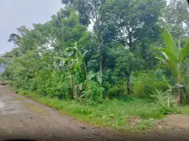 Dijual Tanah sekitar Jalan Poros Pattallasang, Gowa