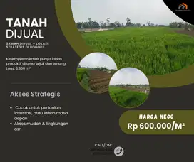 SAWAH DIJUAL – LOKASI STRATEGIS DI BOGOR!