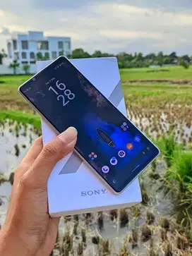 Sony Xperia 1 ii 8/128 Beacukai