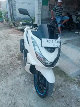 Spedah motor PCX Putih 160 cc