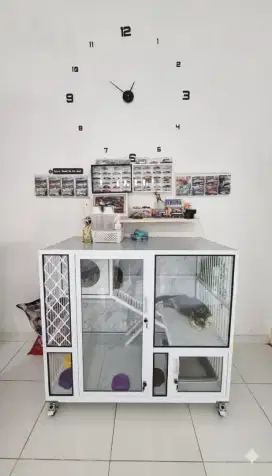 Kandang kucing lampung