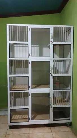 Kandang kucing lampung