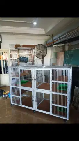 Kandang kucing lampung