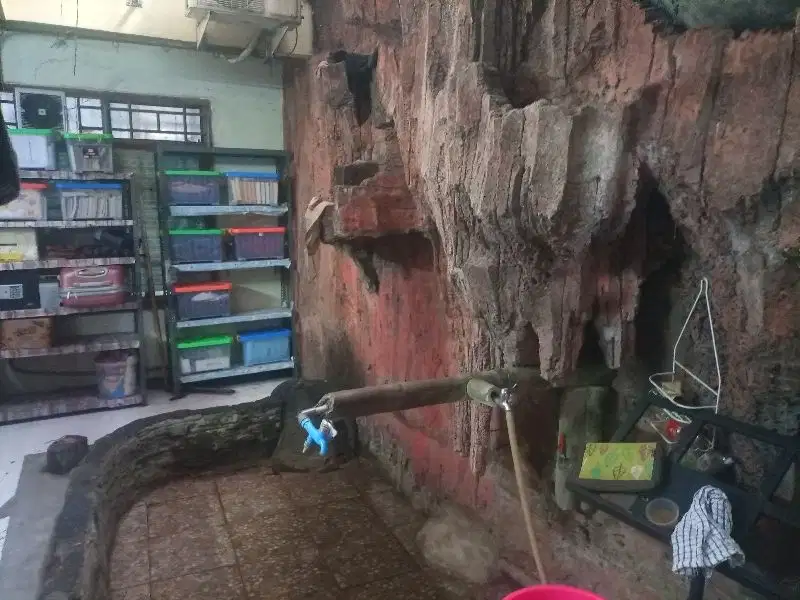rumah besar murah bagus lelang di perumahan
