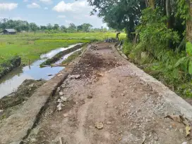 Sawah murah barat kampus uii terpadu jl Kaliurang km 14  air lancar