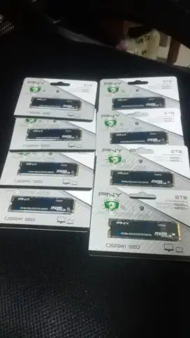 SSD Portable NVME 2TB Resmi