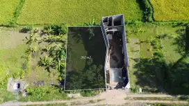 Dijual Tanah Sebelah Kampus Undiksha Jinengdalem Buleleng