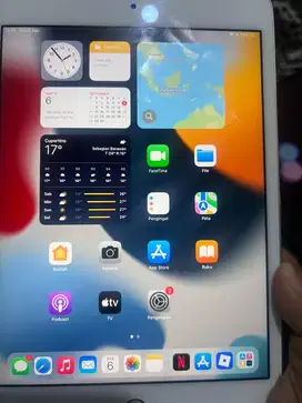 ipad mini 4, ipad only yaa