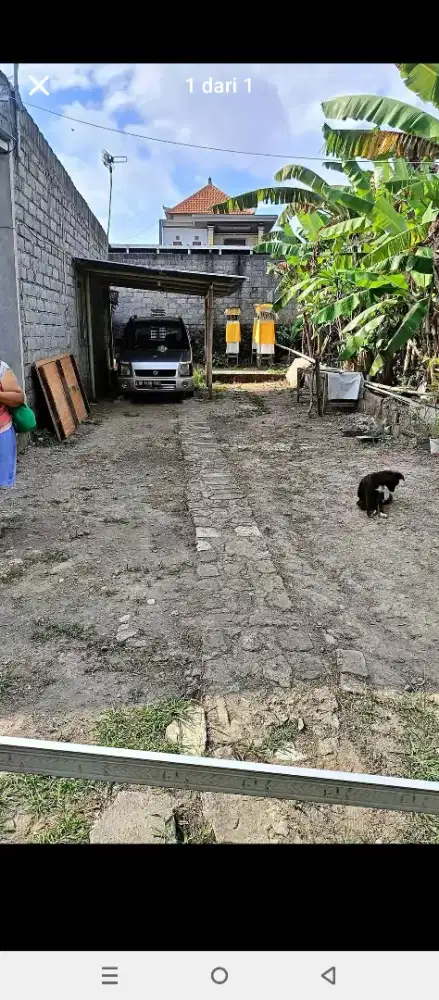 Tanah siap bangun disewakan 10 tahun Celuk
