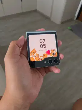 Zflip 5 512gb warna mint