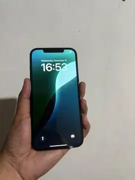 Iphone 12 promax 128gb BEACUKAI