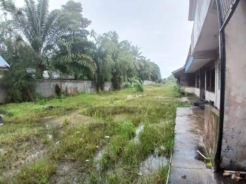 DIJUAL MURAH TANAH DEKAT KAWASAN INDUSTRI DUMAI SELUAS 26.000 M
