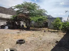 Jual Tanah Kutu Asem Jalan Magelang Km 5