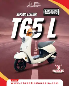 Sepeda Listrik UWINFLY T65L