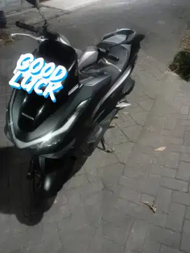 Pcx 160 abs mulus pol