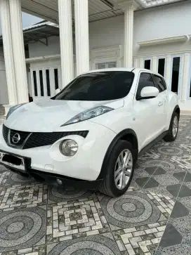 Nissan Juke RX (2013)