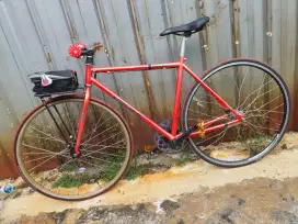 Fixie internal gear