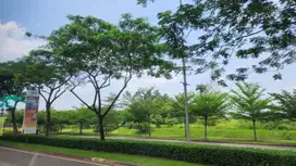 Dijual Kavling Komersil BSD City Tangerang Lokasi Luas Super Strategis Siap Bangun