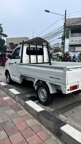 Suzuki Mega Carry 1,5 Manual