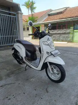 Honda scoopy 2019