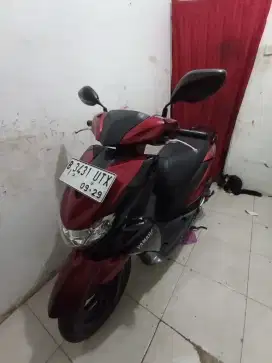 Freego merah 2019